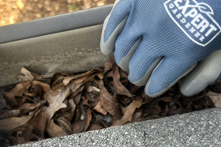 Gutter Cleaning King of Prussia